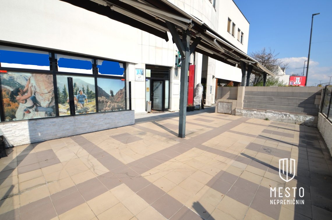 Commercial space in Vič – high-visibility location on Tržaška cesta – 9
