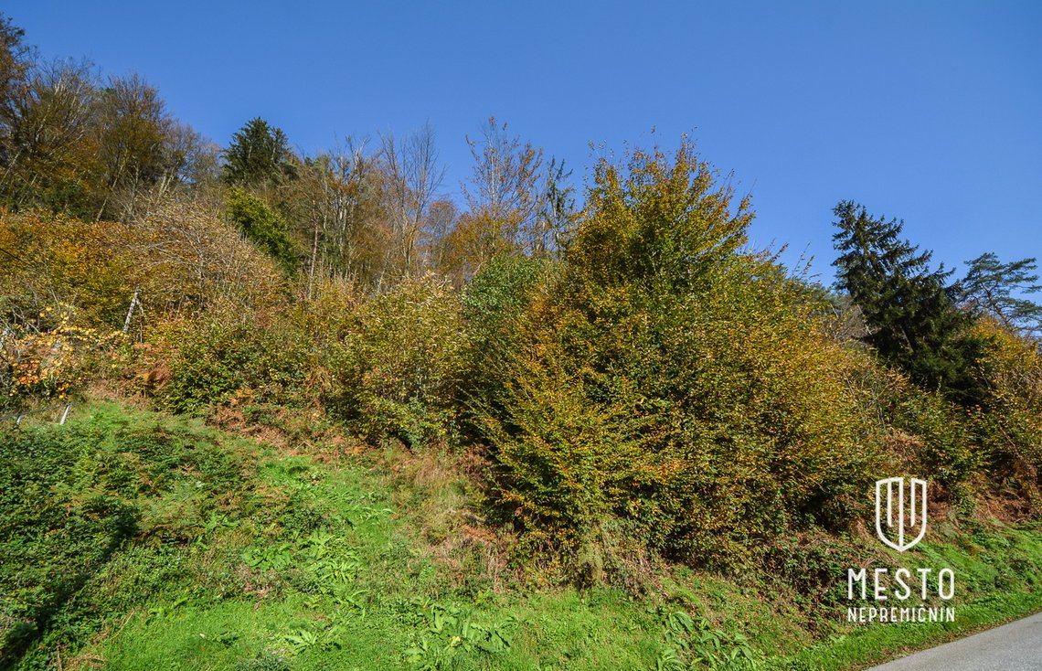 Buildable land in the Senožeti settlement, Dol pri Ljubljani – 3