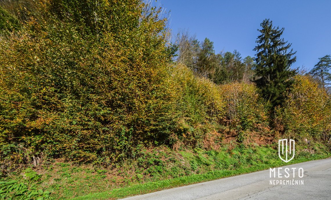Buildable land in the Senožeti settlement, Dol pri Ljubljani – 4