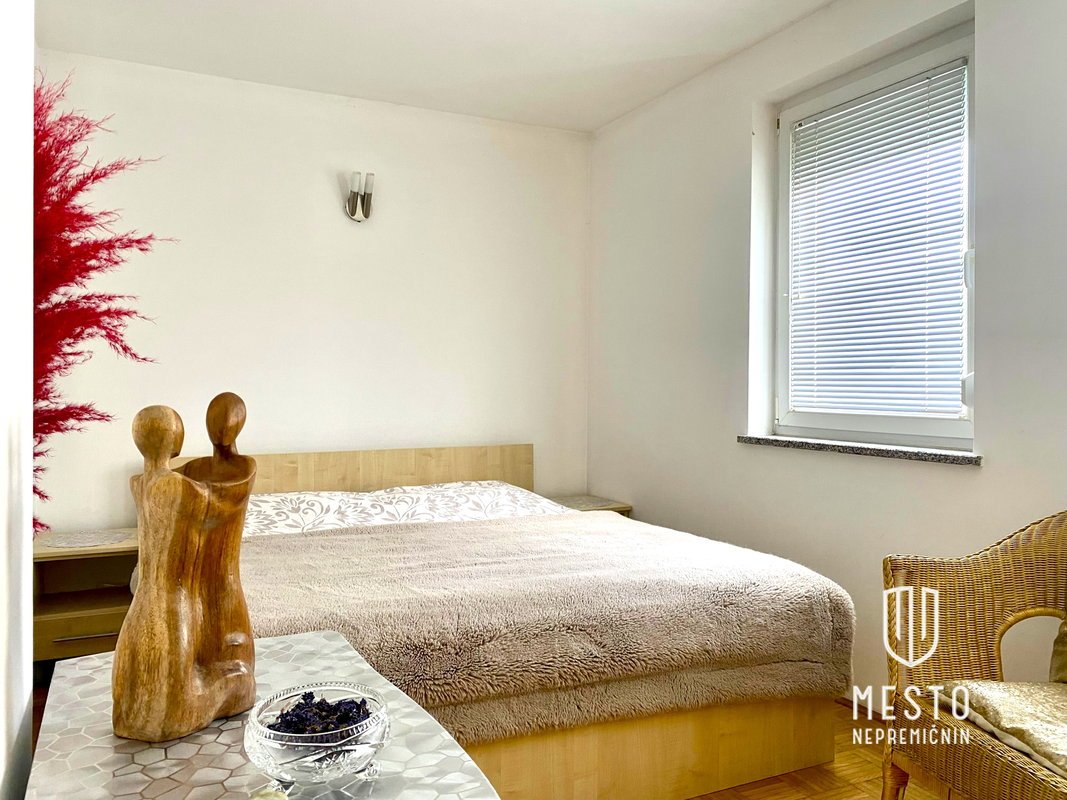 Three-and-a-half-room apartment with a courtyard on Dolgi Most – 9