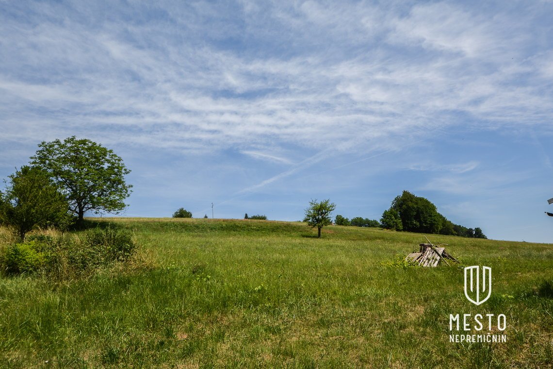 Detached house with larger land in Spodnje Laže – 7