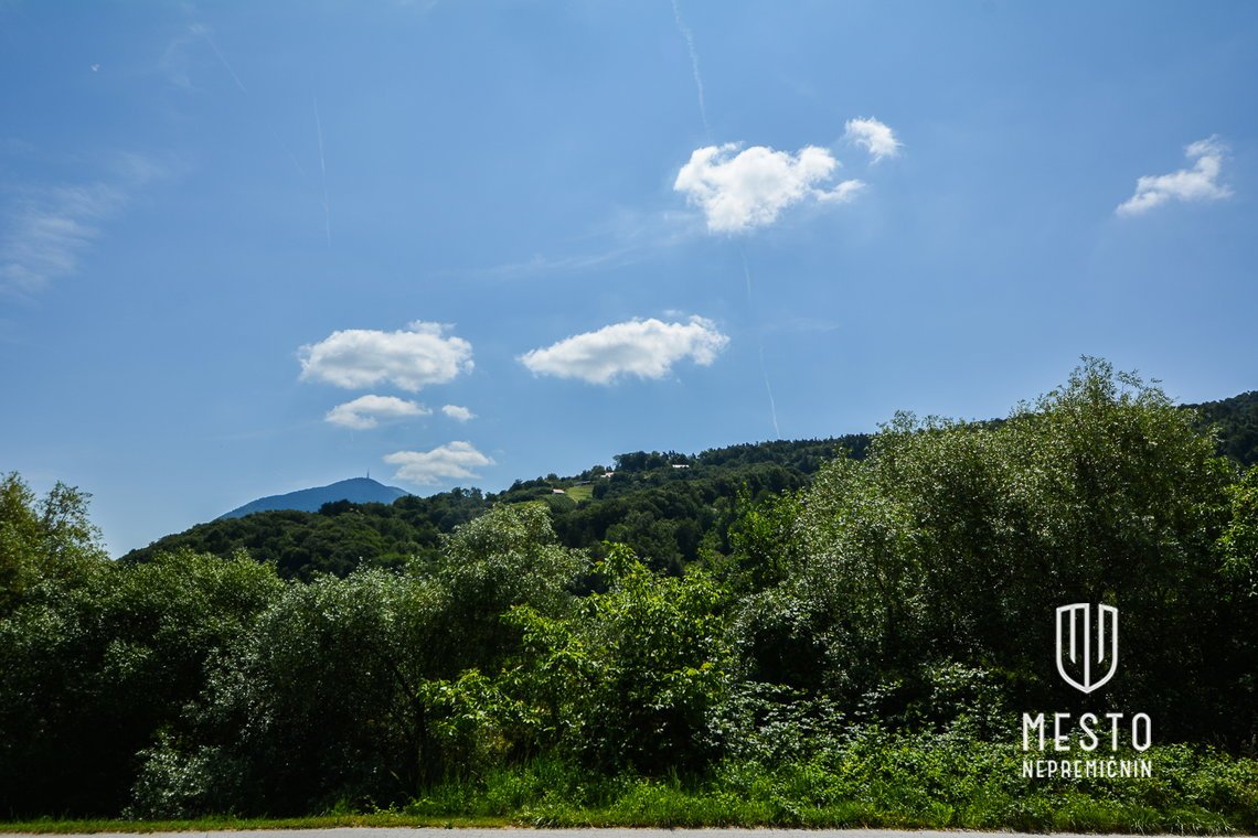 Detached house with larger land in Spodnje Laže – 8
