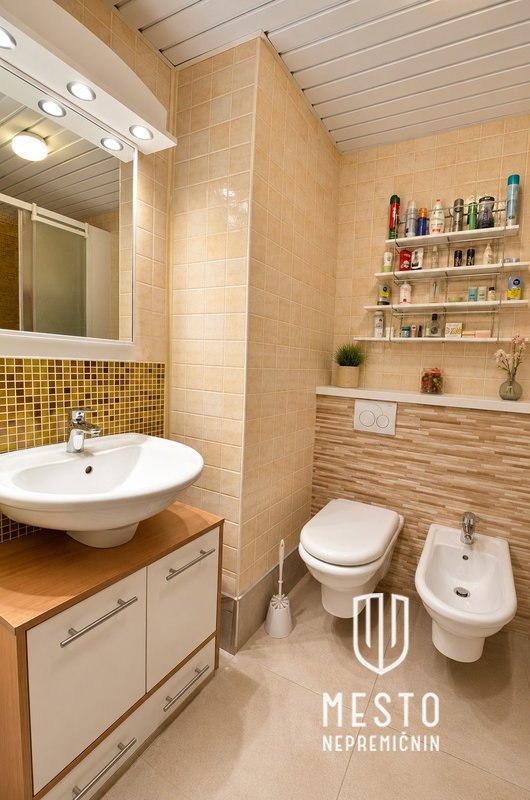 Three-bedroom apartment in Fužine – 13