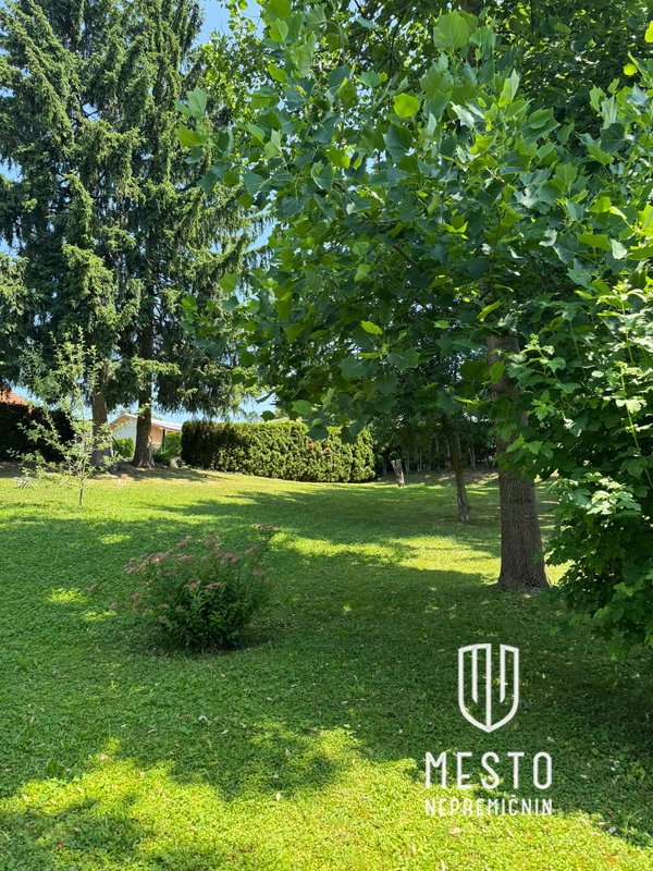 Developable estate with house in Nova Vas, Celje – 5