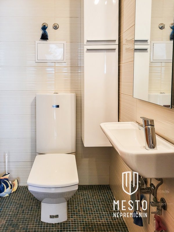 5-room duplex penthouse apartment in Zupančičeva jama – 18
