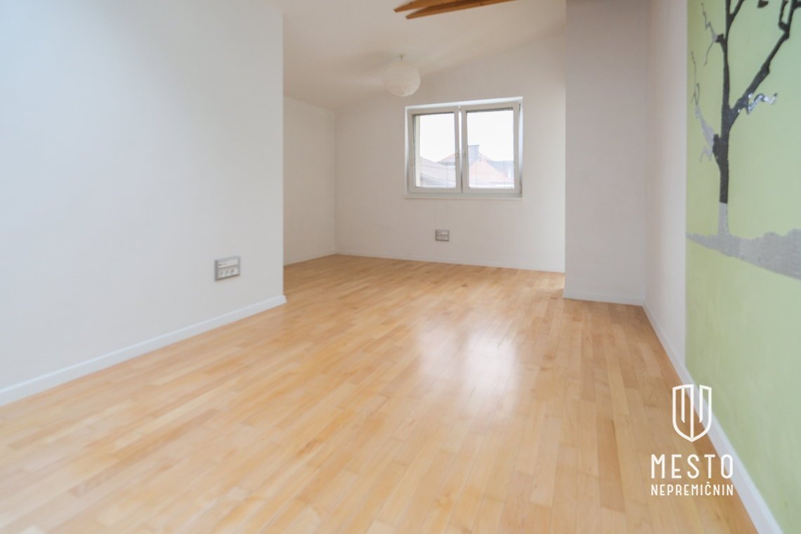 Spacious, renovated house in Spodnja Šiška – 22