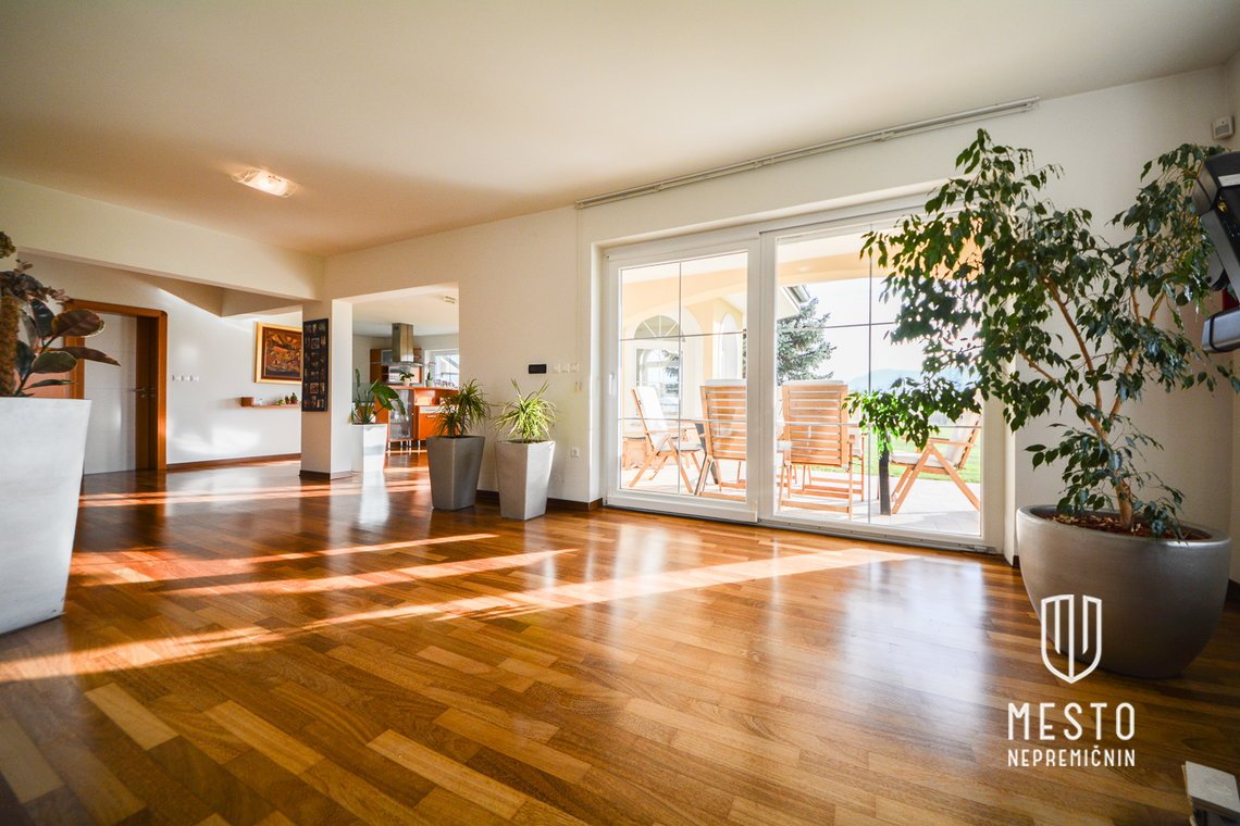 Newer house with an additional commercial building in Trnovljah, Celje – 4