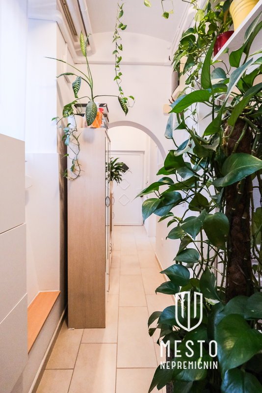 Two-bedroom apartment in the city center – 11