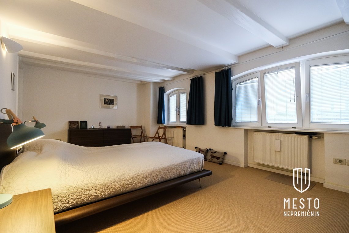 Four-room apartment in the center of Ljubljana, view of the Ljubljanica – 8