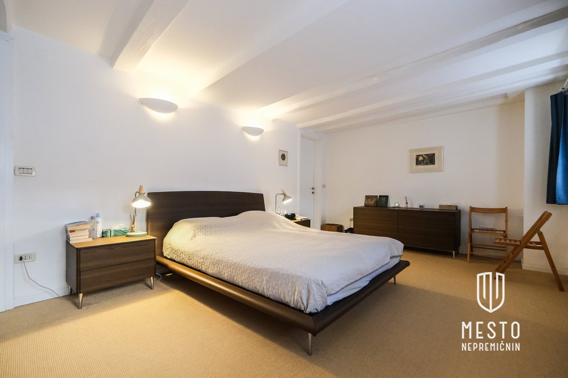 Four-room apartment in the center of Ljubljana, view of the Ljubljanica – 9