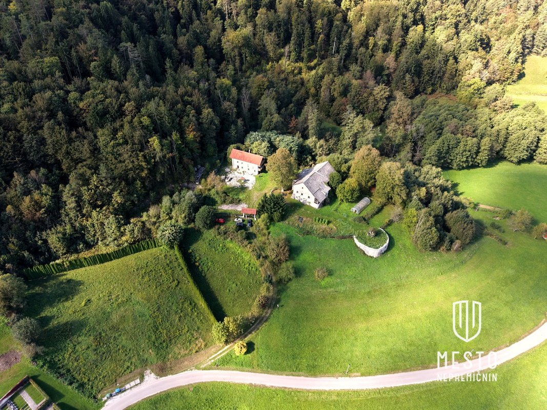 Namršelj Manor and a standalone house with large land in Želimlje near Škofljica (K+P+1+M, house built in 2010, manor built in 1720, total land area 62,981 m²) – 2