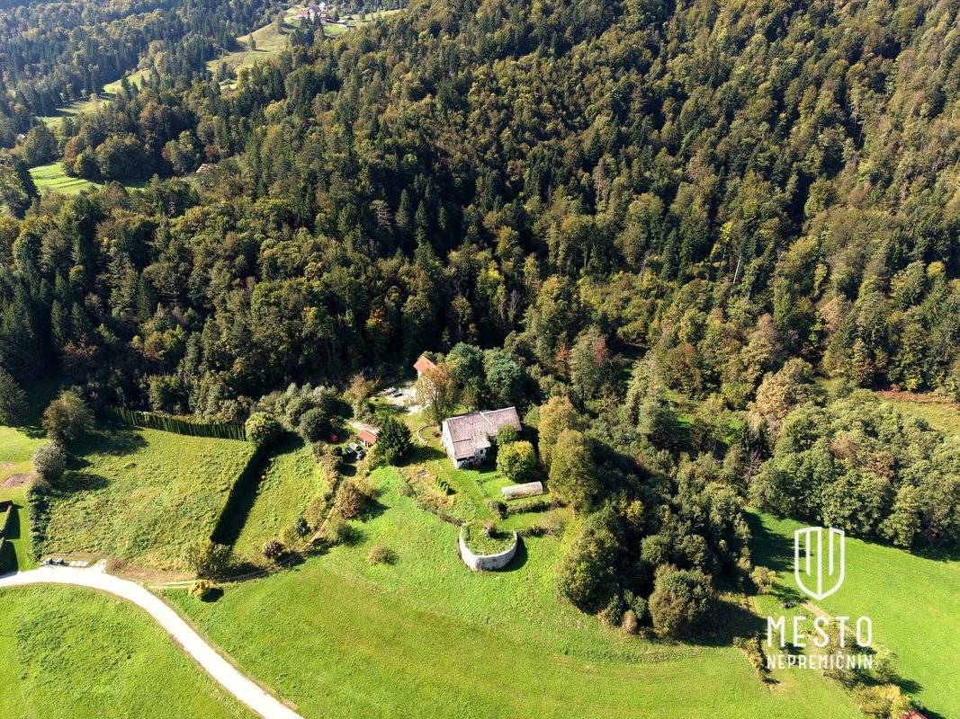 Namršelj Manor and a standalone house with large land in Želimlje near Škofljica (K+P+1+M, house built in 2010, manor built in 1720, total land area 62,981 m²) – 3
