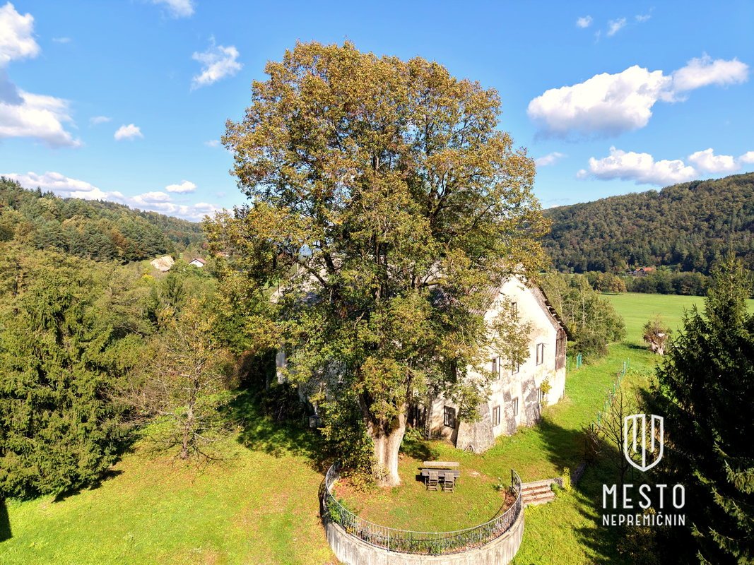 Namršelj Manor and a standalone house with large land in Želimlje near Škofljica (K+P+1+M, house built in 2010, manor built in 1720, total land area 62,981 m²) – 7