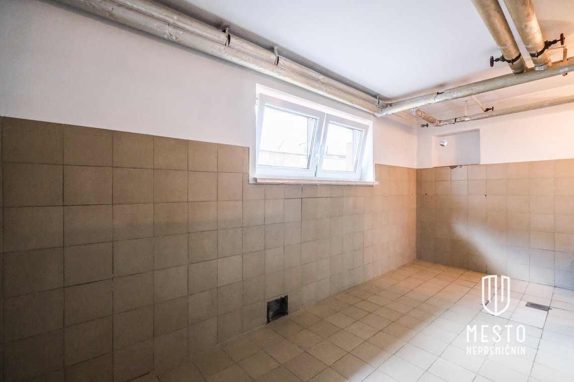 Detached house in Dobrova – 18