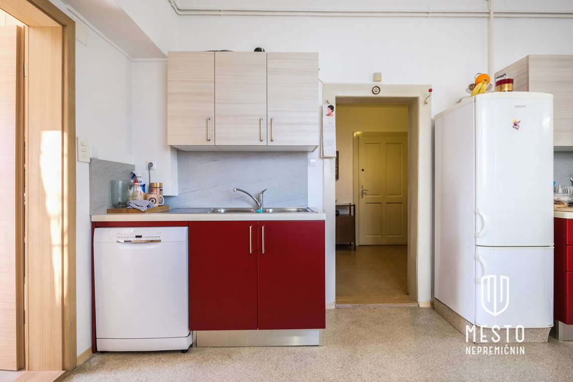 Three-bedroom apartment on Gerbičeva Street – 4