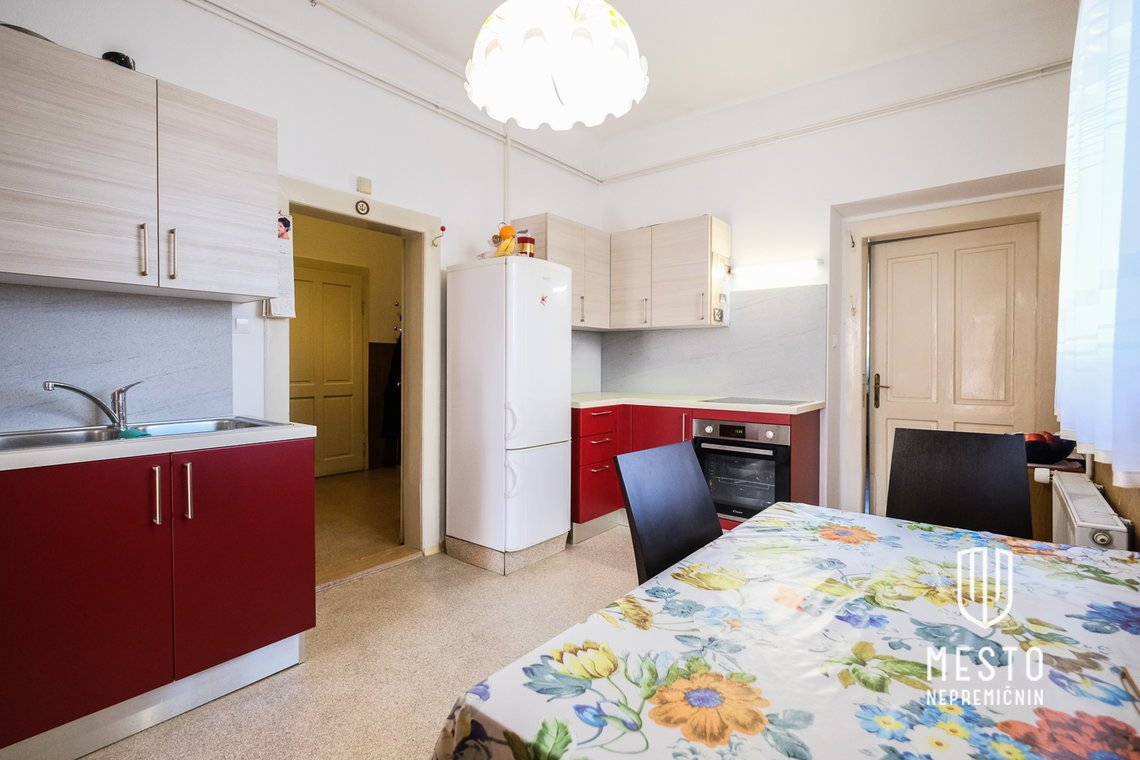 Three-bedroom apartment on Gerbičeva Street – 5